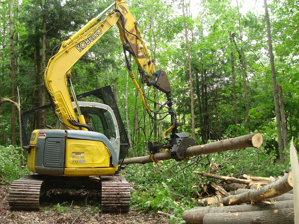 Arbor 400 Stroke Harvester Head for logging on Kobelco