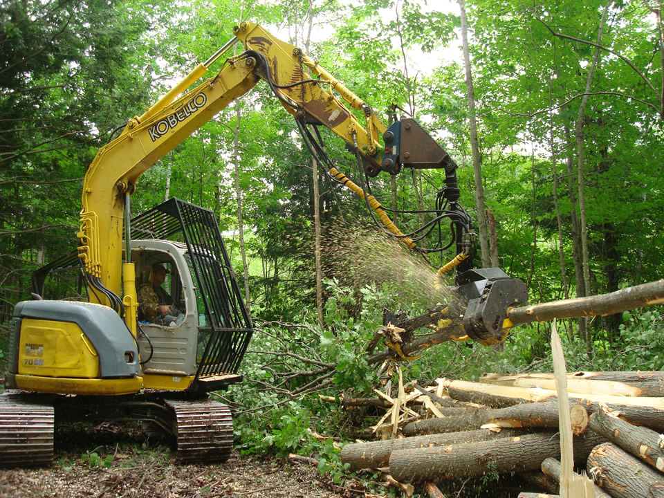 Arbor 400 Stroke Harvester Head for logging on Kobelco