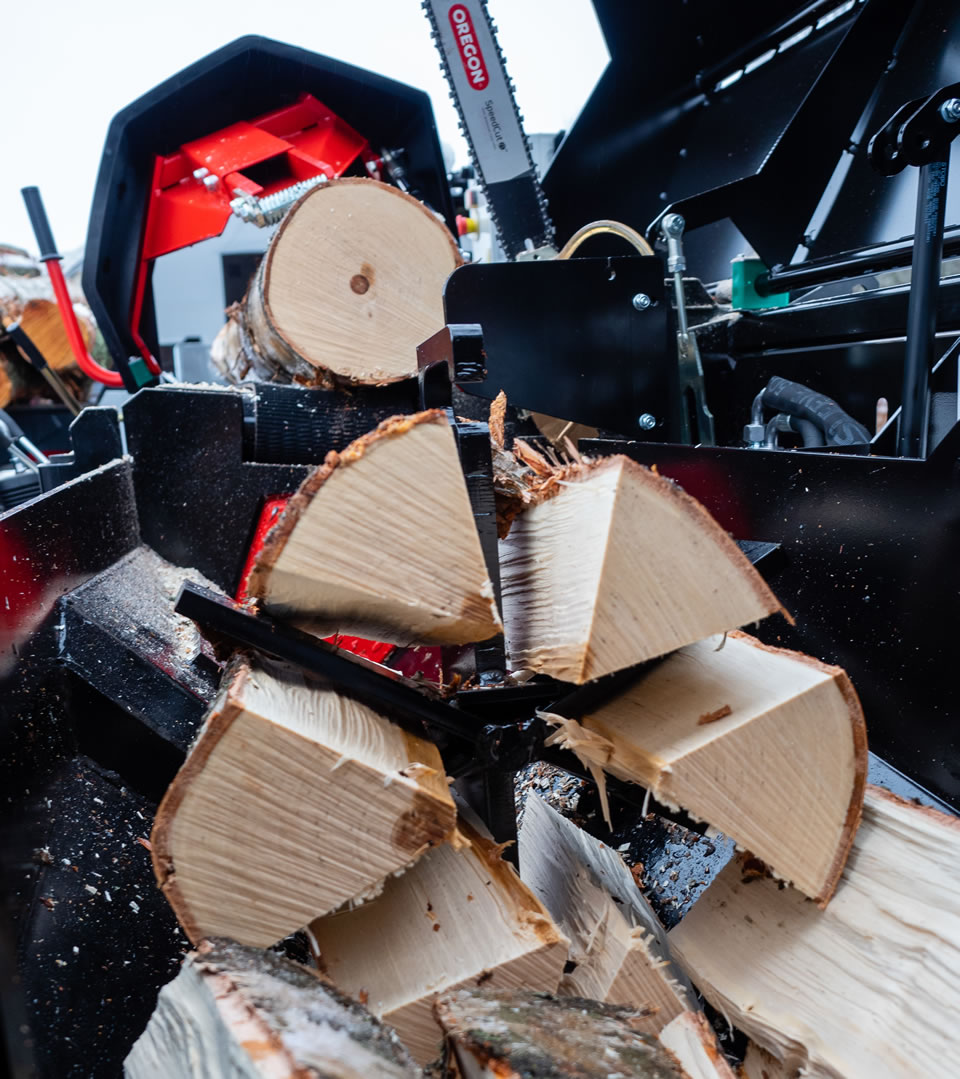 Façonneuses à bois Palax D410